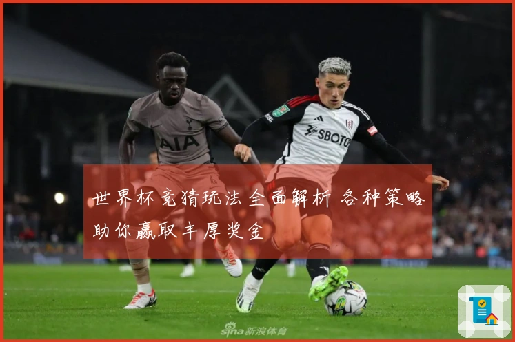 世界杯竞猜玩法全面解析 各种策略助你赢取丰厚奖金
