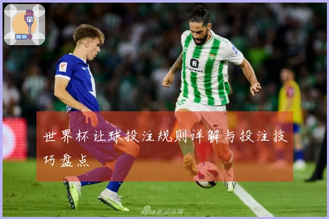 世界杯让球投注规则详解与投注技巧盘点