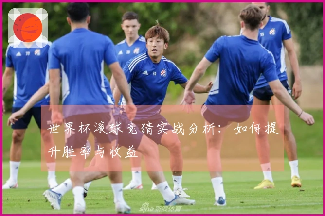 世界杯滚球竞猜实战分析：如何提升胜率与收益