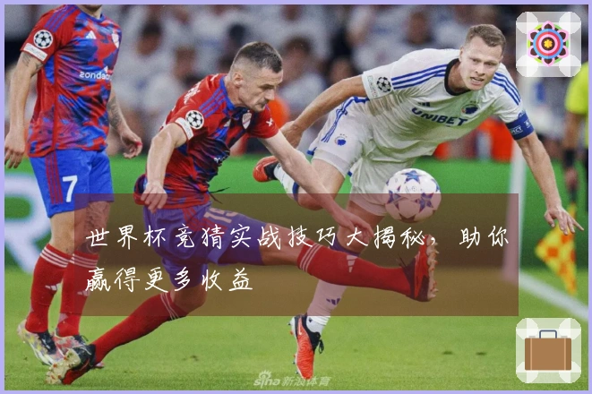 世界杯竞猜实战技巧大揭秘，助你赢得更多收益