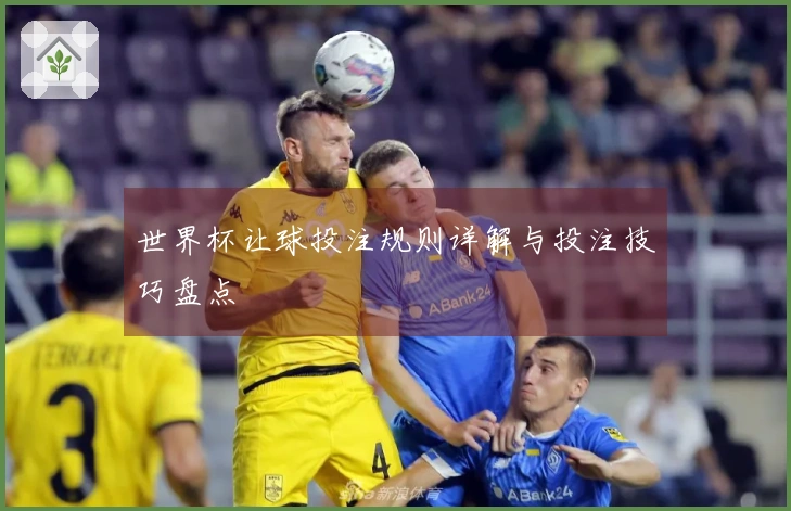 世界杯让球投注规则详解与投注技巧盘点