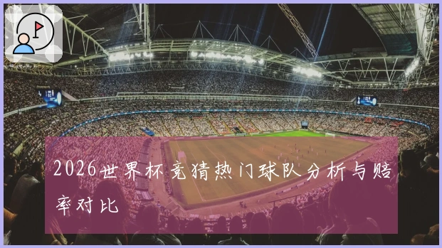 2026世界杯竞猜热门球队分析与赔率对比