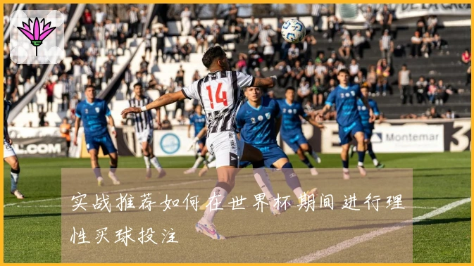 实战推荐如何在世界杯期间进行理性买球投注