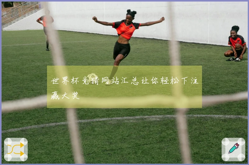 世界杯竞猜网站汇总让你轻松下注赢大奖