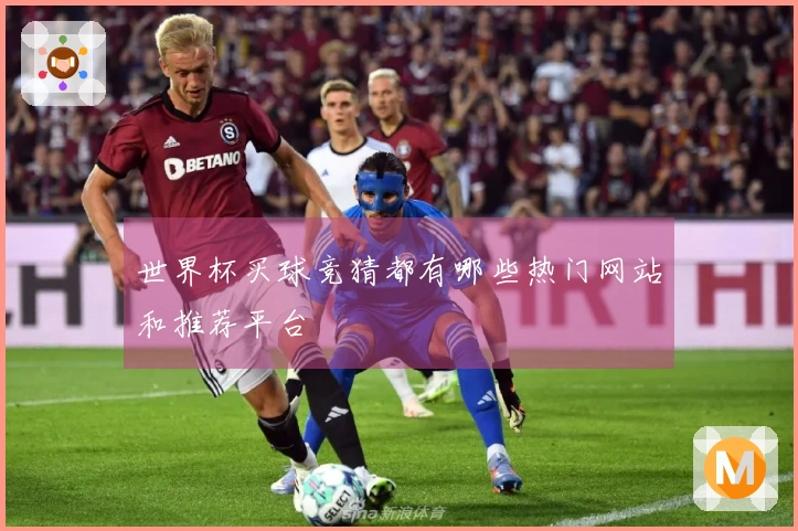 世界杯买球竞猜都有哪些热门网站和推荐平台
