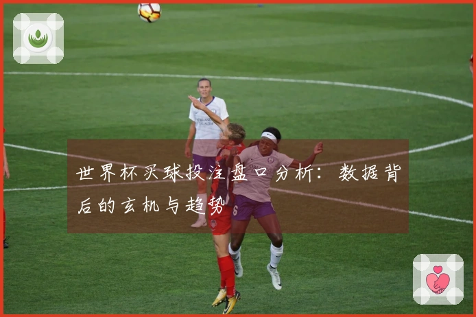 世界杯买球投注盘口分析：数据背后的玄机与趋势