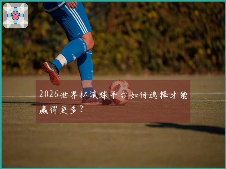 2026世界杯滚球平台如何选择才能赢得更多？