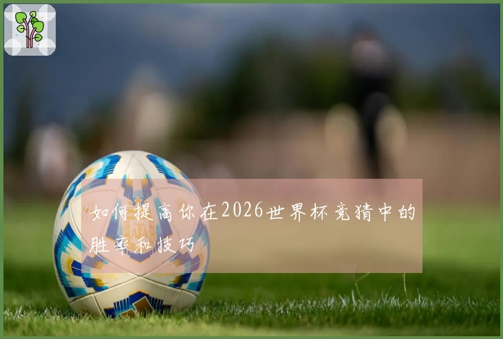 如何提高你在2026世界杯竞猜中的胜率和技巧