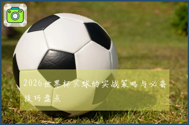 2026世界杯买球的实战策略与必备技巧盘点