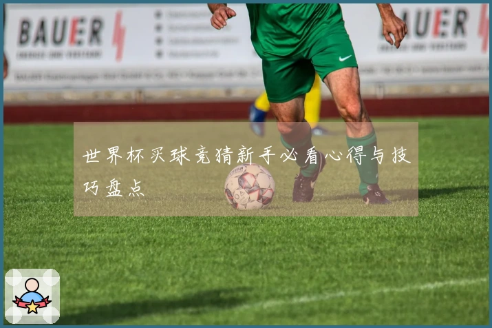 世界杯买球竞猜新手必看心得与技巧盘点