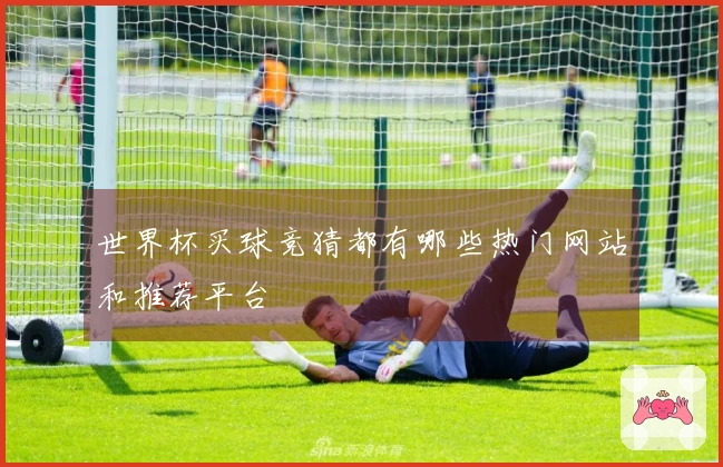 世界杯买球竞猜都有哪些热门网站和推荐平台