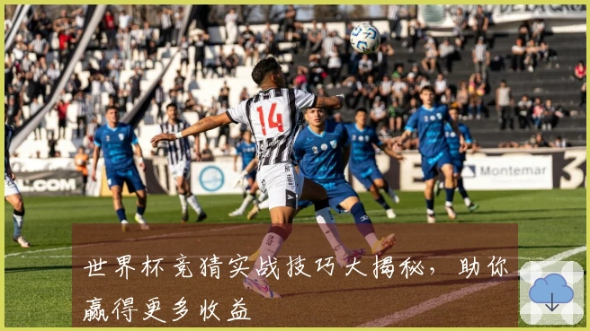 世界杯竞猜实战技巧大揭秘，助你赢得更多收益