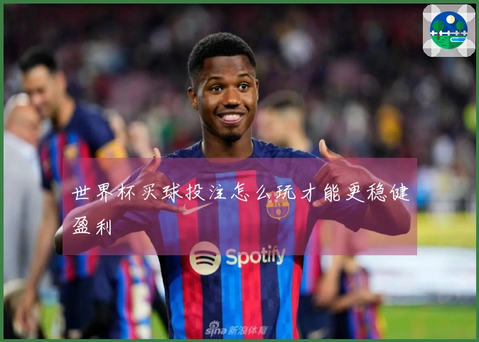 世界杯买球投注怎么玩才能更稳健盈利