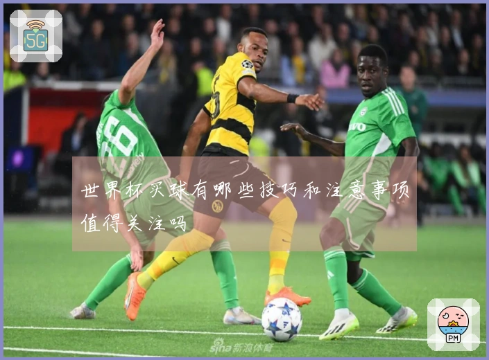 世界杯买球有哪些技巧和注意事项值得关注吗