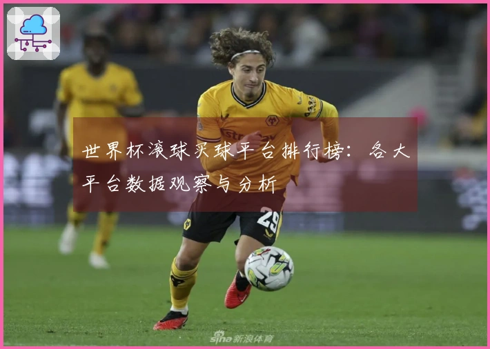 世界杯滚球买球平台排行榜：各大平台数据观察与分析