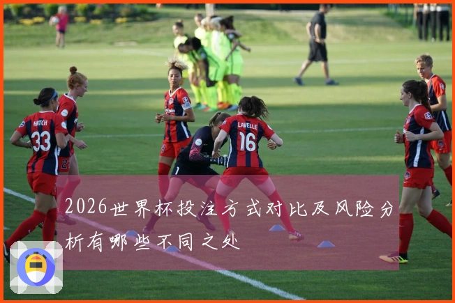 2026世界杯投注方式对比及风险分析有哪些不同之处