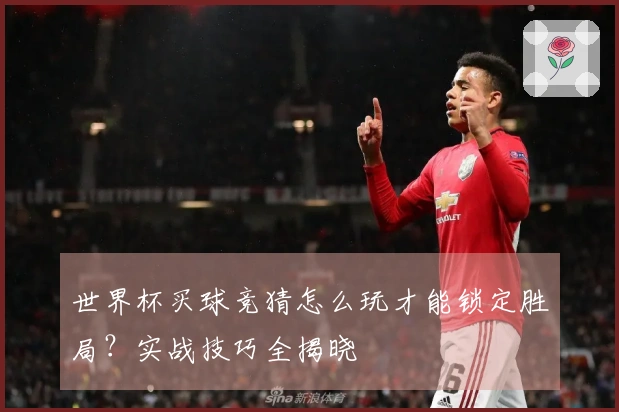 世界杯买球竞猜怎么玩才能锁定胜局？实战技巧全揭晓