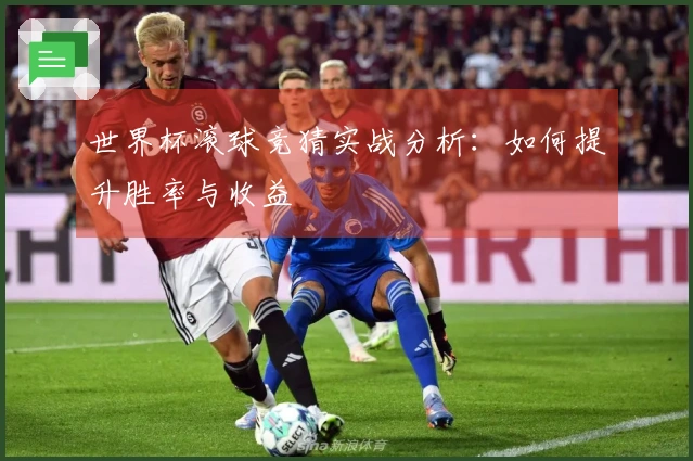 世界杯滚球竞猜实战分析：如何提升胜率与收益