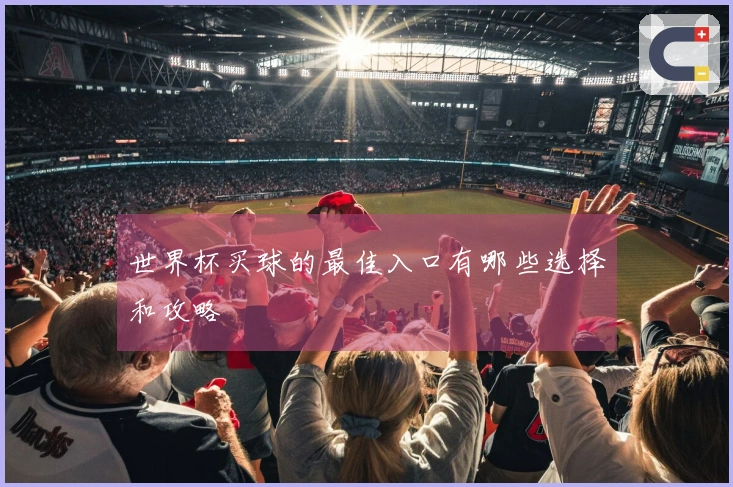世界杯买球的最佳入口有哪些选择和攻略
